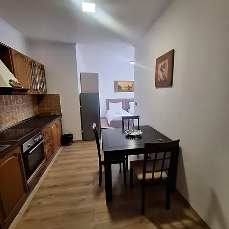 Deluxe Near Center Double Or Twin Bed Apartment *