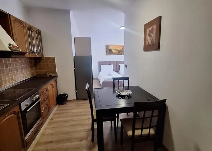 Deluxe Near Center Double Or Twin Bed Apartment *